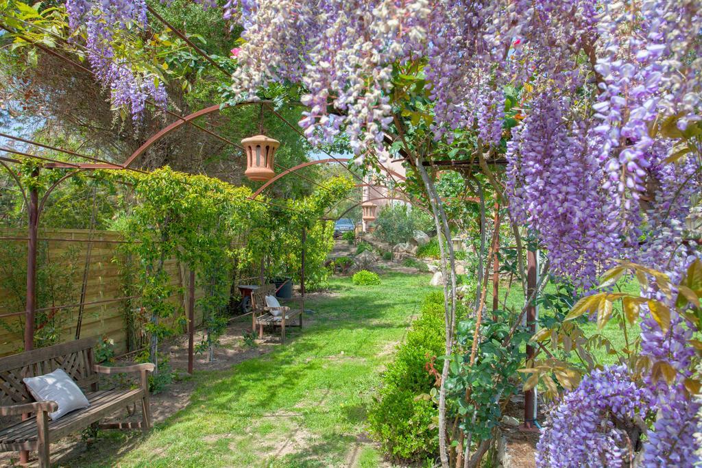 Casa Del Sole Chambres D'Hotes De Charme Favone Esterno foto